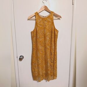 Babaton Henry Lace Dress Size 6
